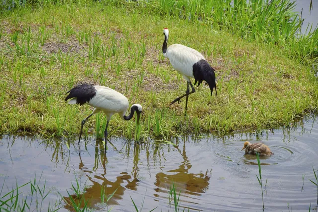 Okayama Nature conservation centre