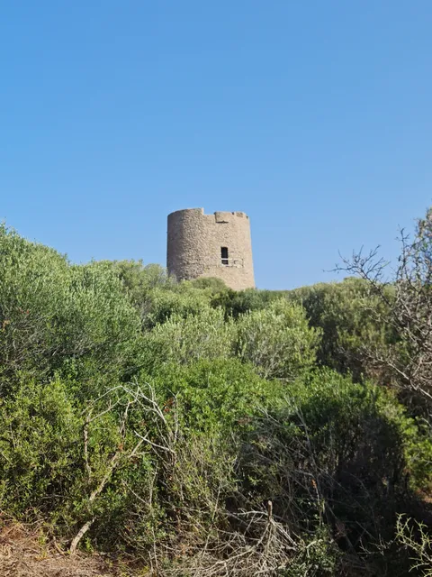 Torre di Vignola