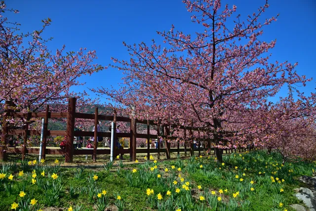 Kaminosekishiroyama Historical Park