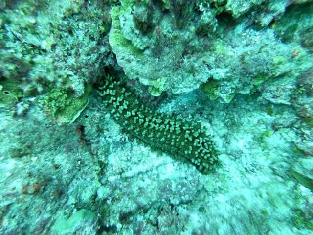 Giants Ridge Recreation Area