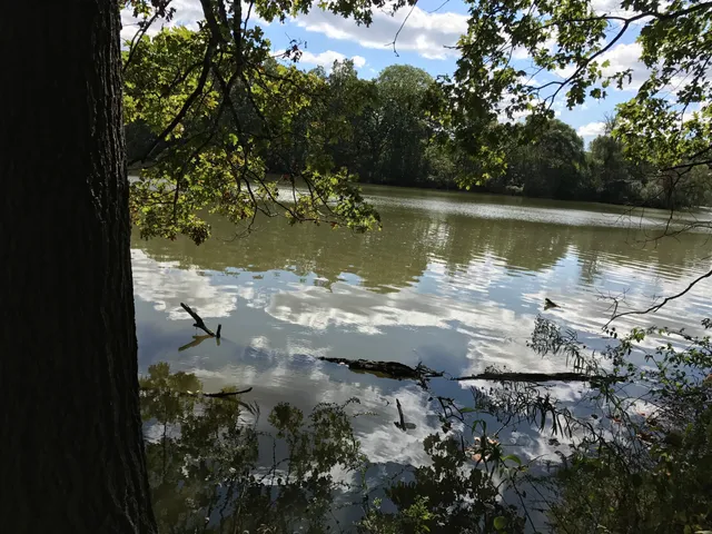 Reed-Turner Woodland Nature Center