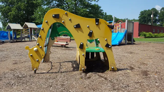 David C. Driskell Community Park