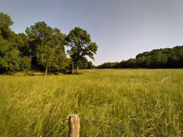 Espace naturel sensible du val de Choisille