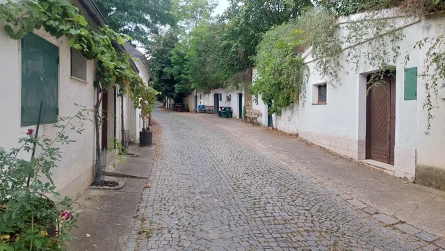 Kellergasse Radyweg