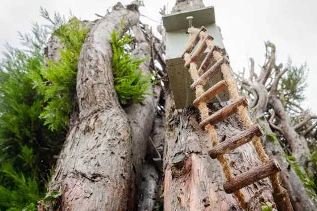 Baan Tipmanee Teak Carving