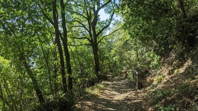 Sentiero del Giubileo - n. 26