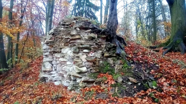 Burg Džbán