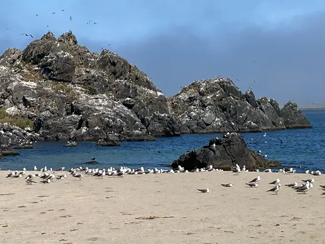 Kabushima Promenade Park