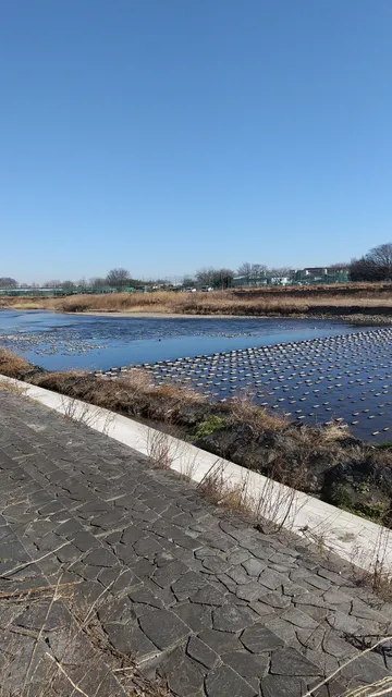 Sayamashi Shimookudomiundo Park