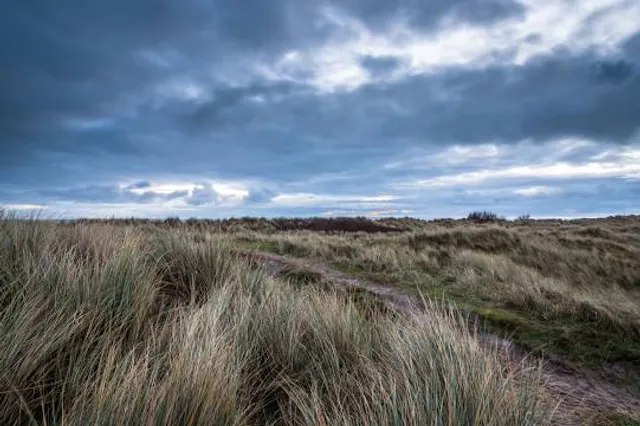 Nationaal Park Duinen van Texel