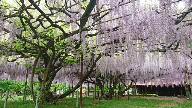 Shinano Kokubunji Museum