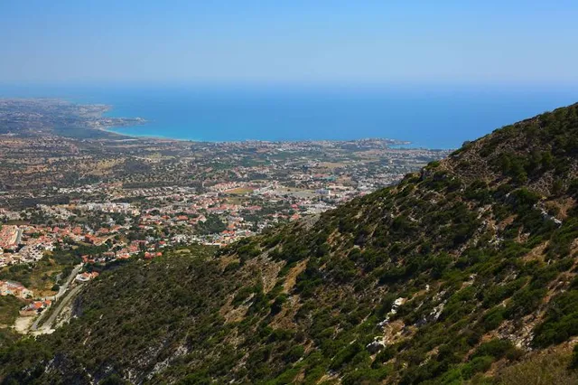 photo-1