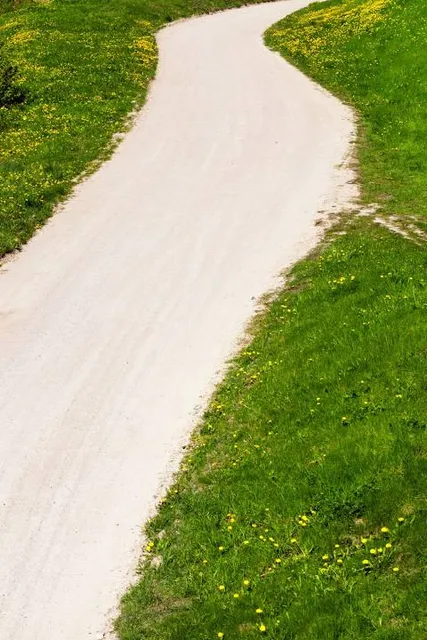 Waggin' Trail Dog Park