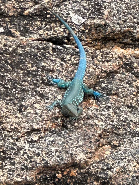 Hooiberg Hiking Trail