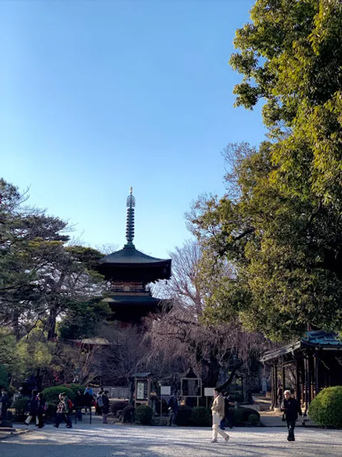 Pine trees along the approach to Gotokuji Temple