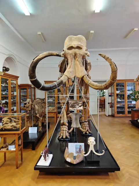 Палеонтологический музей