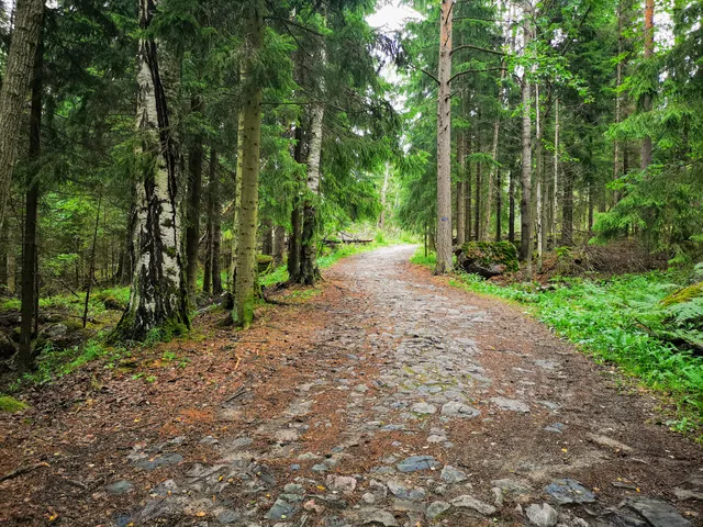 Mustavuoren luonnonsuojelualue