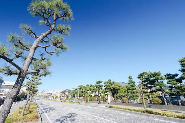 Shonan Bellmare Hiratsuka Beach Park