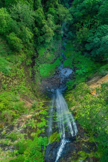 Mapleton Falls National Park