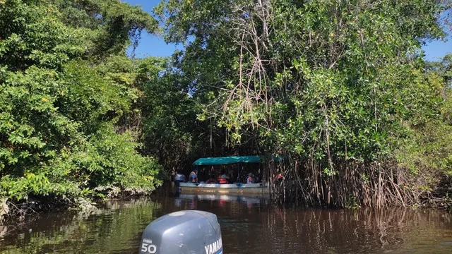 Biosphere Reserve Pantanos de Centla