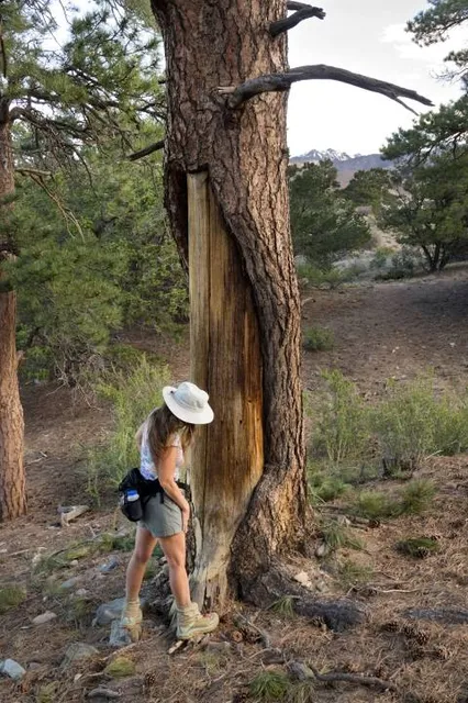 Will Abell Memorial Trail at Arrowhead Ridge
