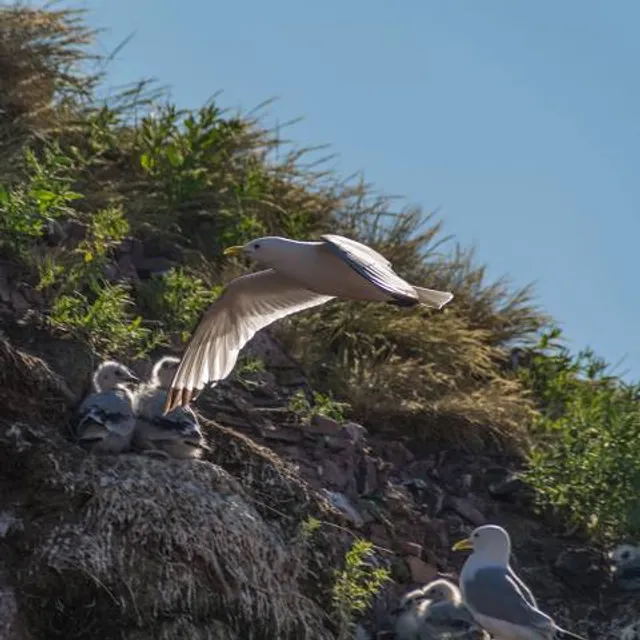 Adventureland Theme Park