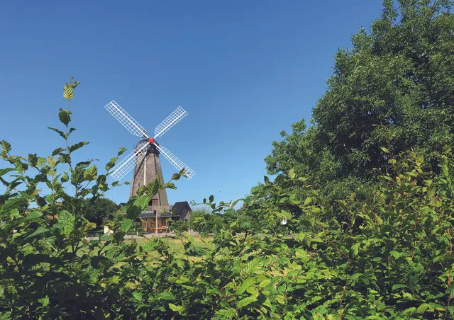 Glessener Mühlenhof - Das Bauernhoferlebnis