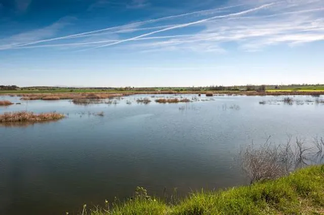 Embalse de El Vicario