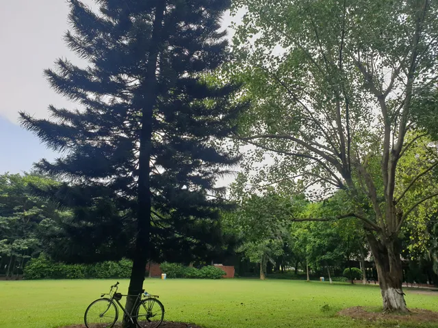 Công Viên Mùa Hạ Ecopark