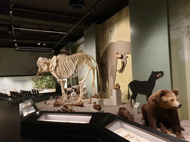 Naturmuseum Augsburg