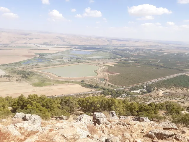 טרקטורוני דישון בע"מ