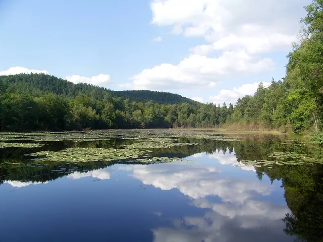 Étang du Lieschbach