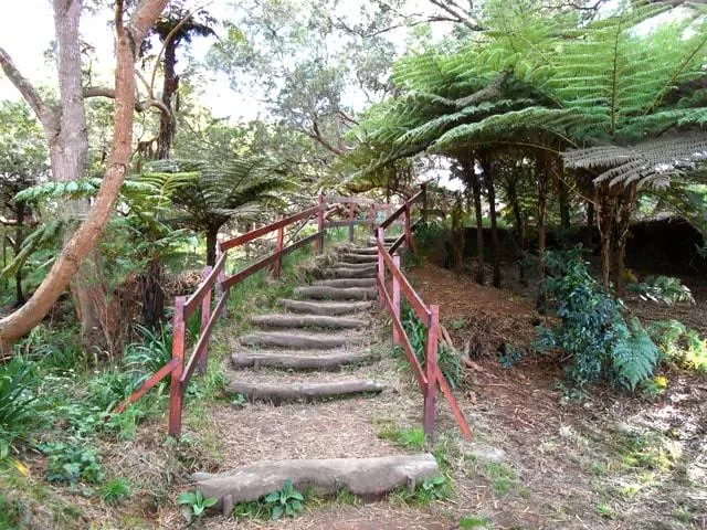 Piton de la Ravine Blanche