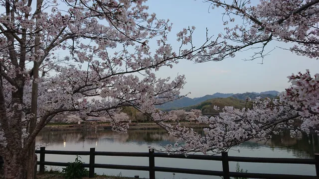 Kikaku Park