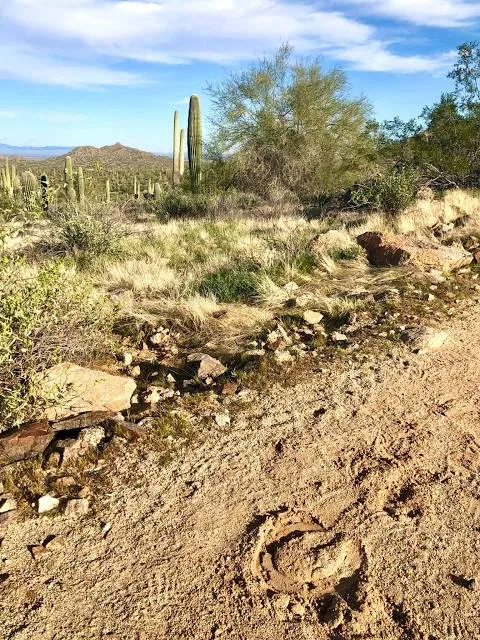 San Tan Mountain Regional Park