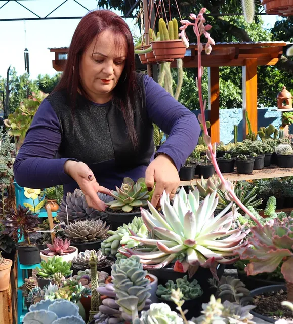 Vando & Fabi - Cactus e Suculentas