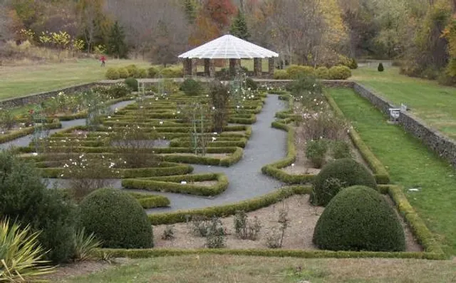 photo-3
