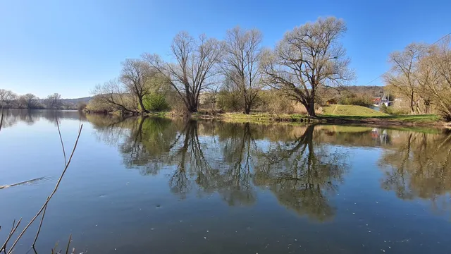 Sprendlingen-Gensingen