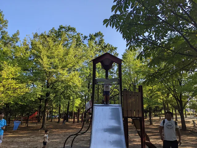 Adventure Zone South