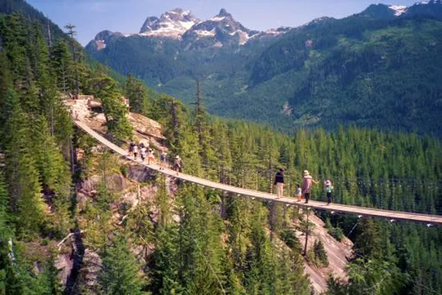 Sky Pilot Suspension Bridge