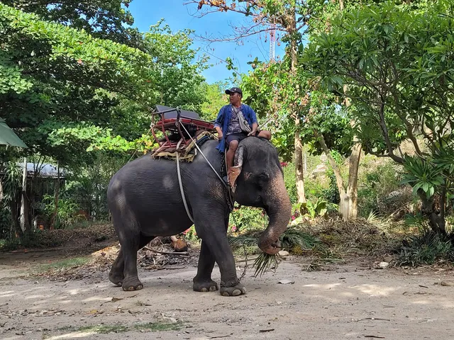 Elephant Village, Hua Hin