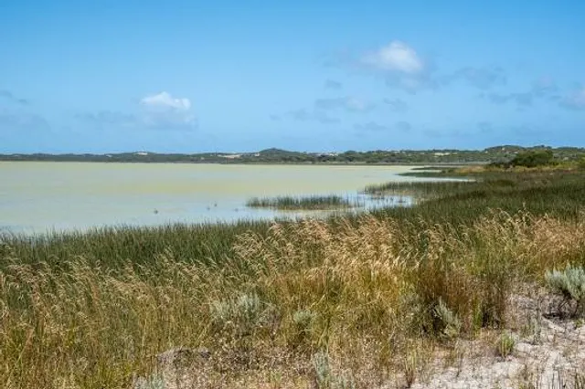 Beachport Conservation Park