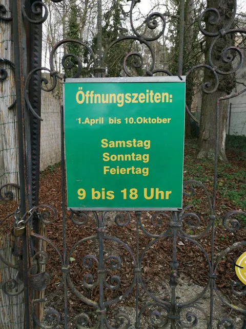 Muschelberg - Nexinger Schweiz