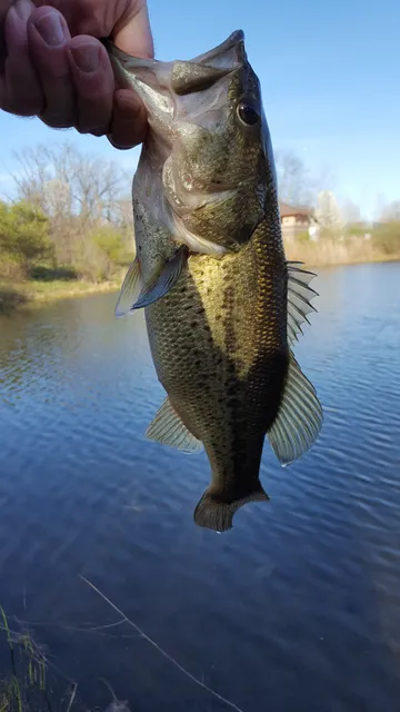 Bicentennial Nature Area