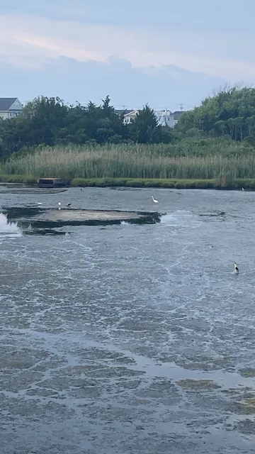 Stainton Wildlife Refuge