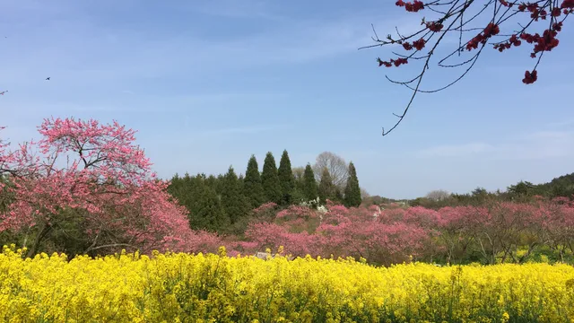 ラ・スカイファーム