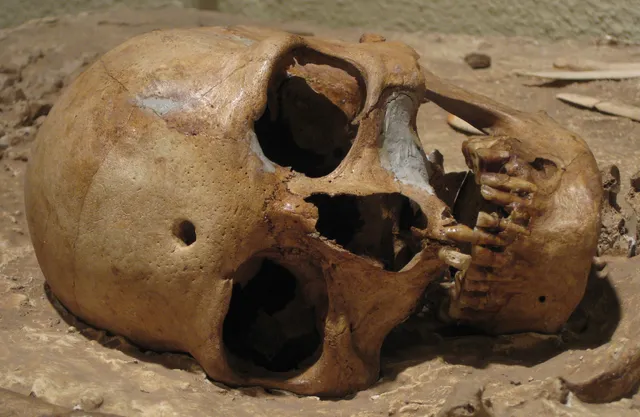 Museo Arqueológico y Paleontológico Cuevas del Charco