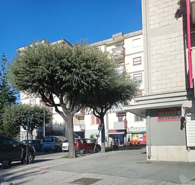 DESPAR Supermercato San Giuseppe 2