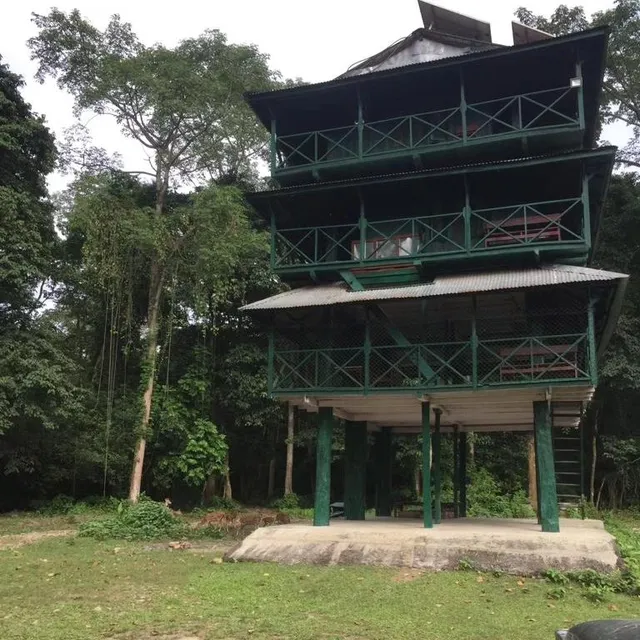 Hotel Bhupu Sainik Sauraha - Your home for safari adventure in Chitwan