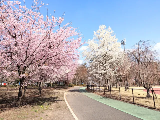 Sakura City Park
